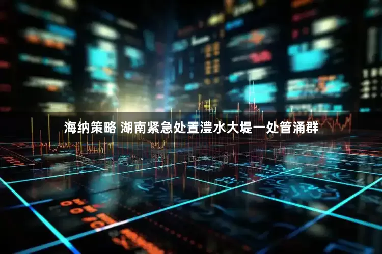 海纳策略 湖南紧急处置澧水大堤一处管涌群
