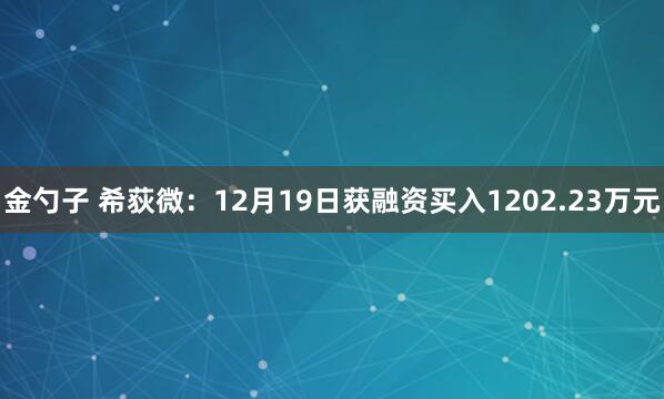 金勺子 希荻微：12月19日获融资买入1202.23万元