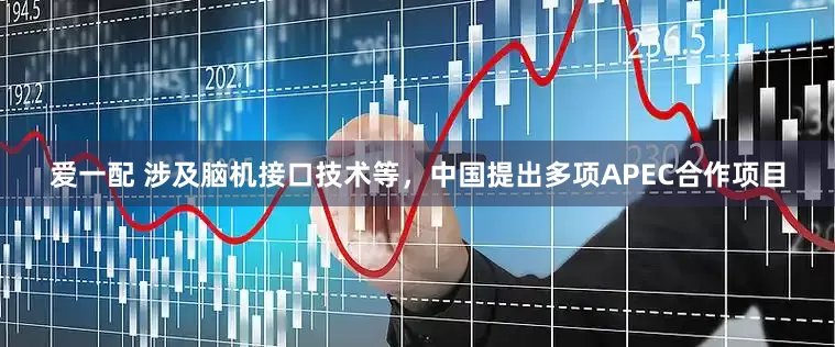 爱一配 涉及脑机接口技术等，中国提出多项APEC合作项目